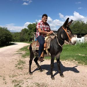 Meet your Posher, Abi